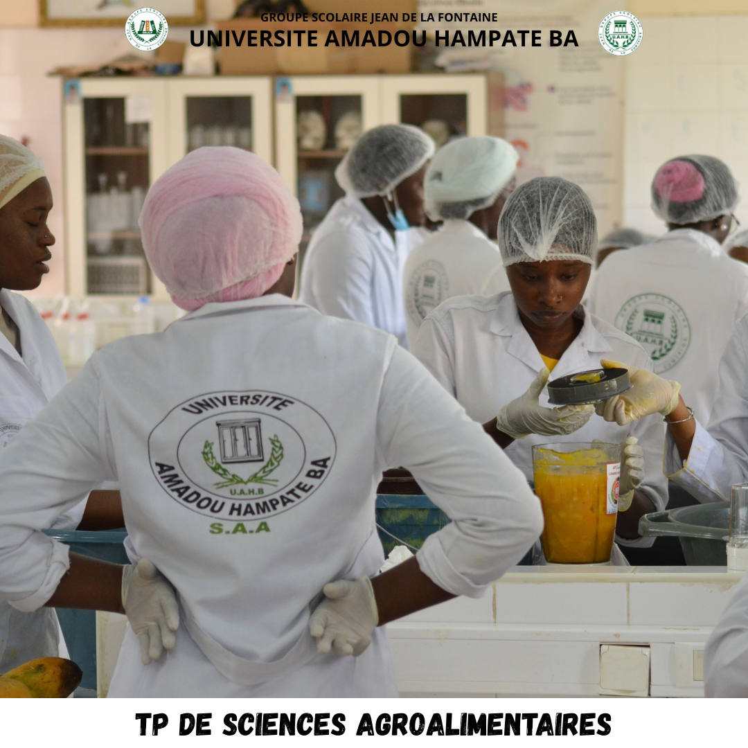 vie academique et ceremonies (7)
