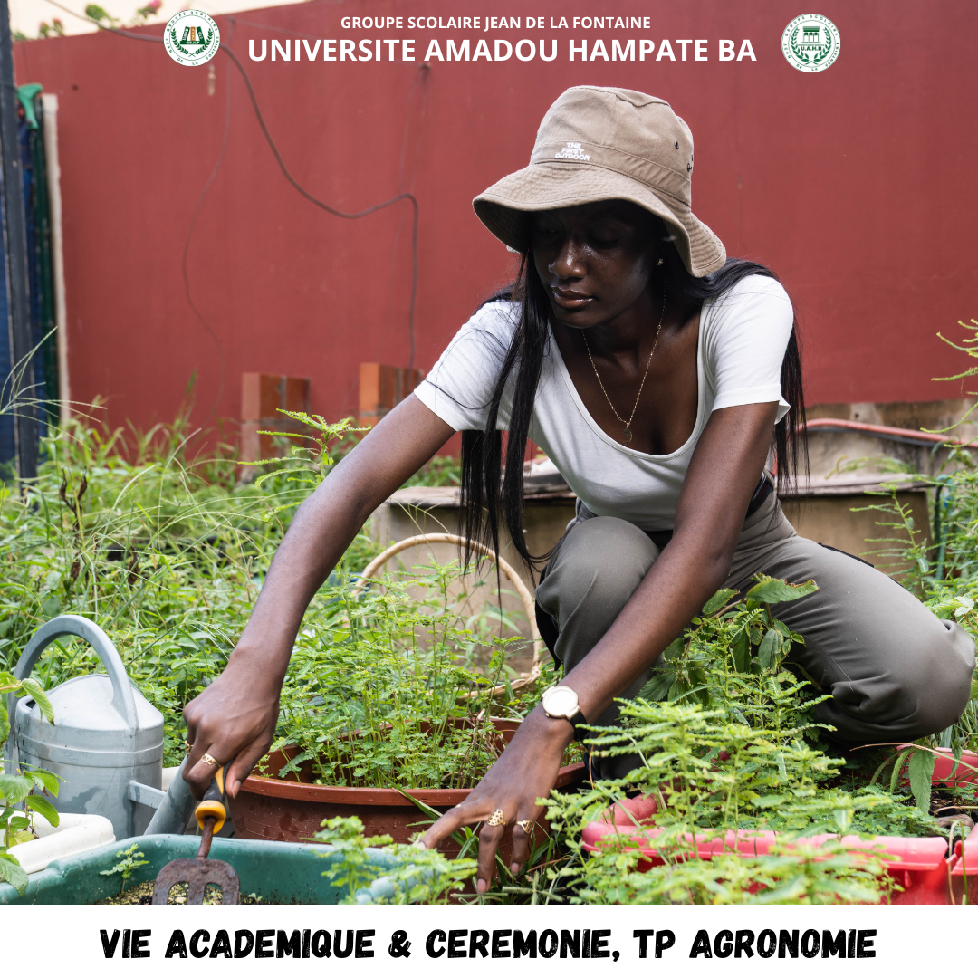 Vie ACADEMIQUE & cEREMONIE